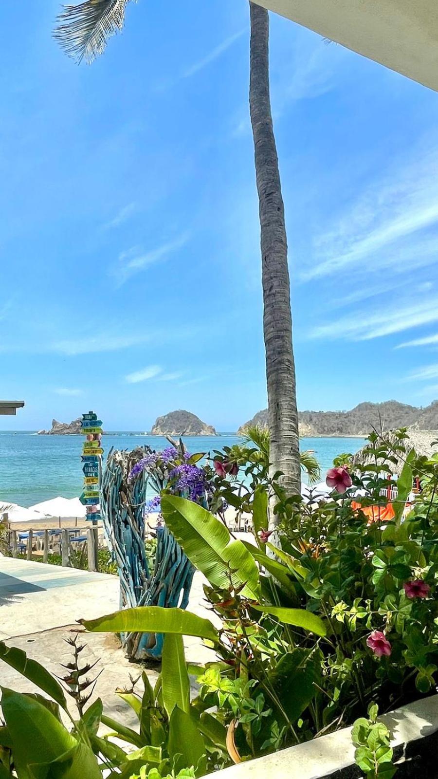 Bungalows Las Hamacas San Patricio - Melaque Exterior foto